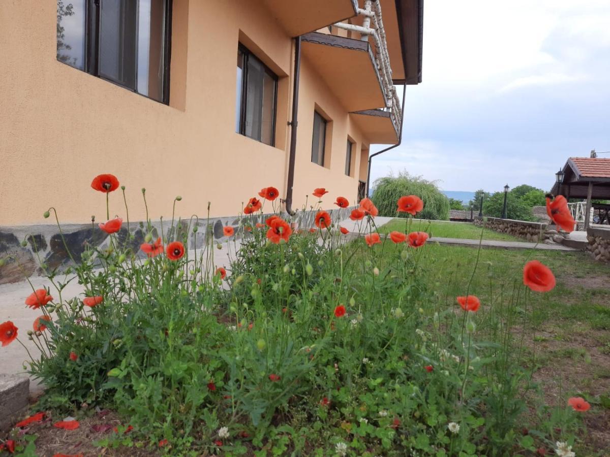 Laguna Lodge Crivina (Burila Mare)