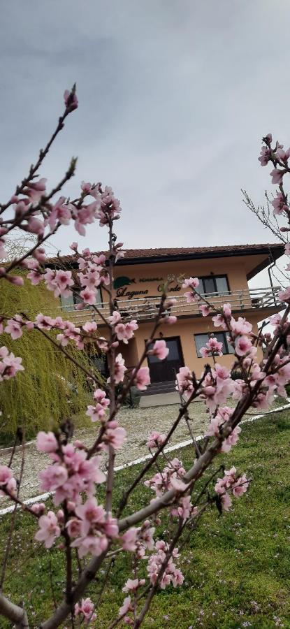 Laguna * Crivina (Burila Mare)